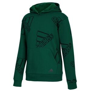 Adidas Boys Brand Love Pullover Hoodie Medium (10/12) Collegiate Green - NWT